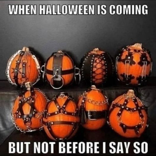 #Halloween #bdsmmemes #bdsmmeme #naughtygirl #kinkygirl #dirtygirl #dirtymindmemes #dirtyminds #sexualmemes #kinkymeme #…