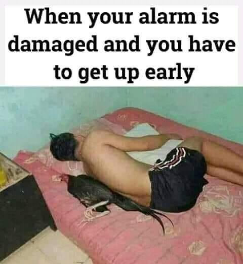 Then you get up late