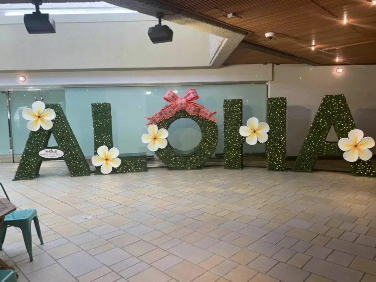 Aloha from Hawaii!