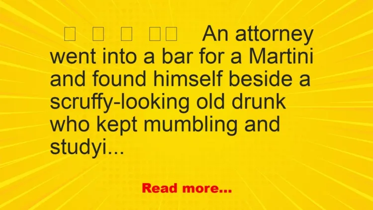 Joke: An Attorney Went Into A Bar For Martini