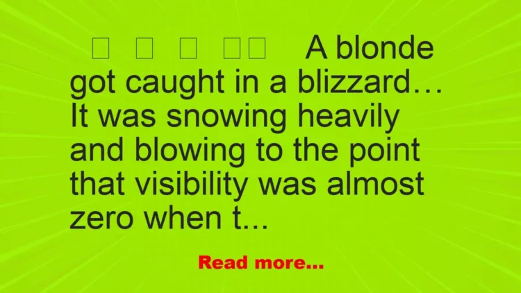 Joke: A Blonde Got Caught In A Blizzard