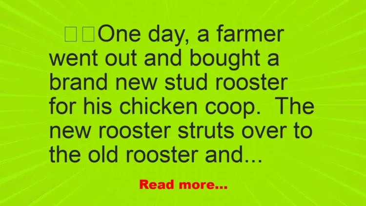 Joke: THE ROOSTER