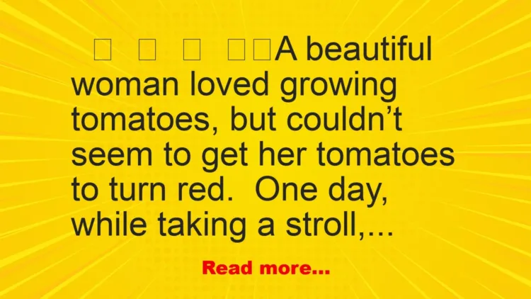 Joke: The tomatoes