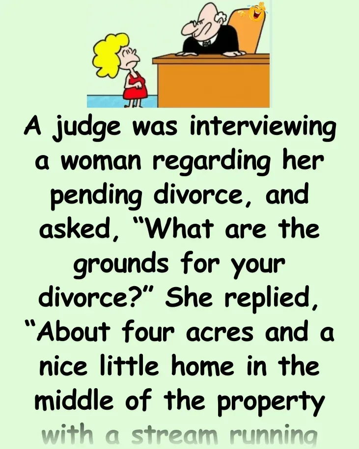 Joke: A judge was interviewing a woman –