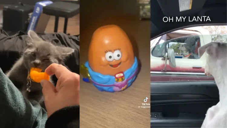 Memes I Watch Before The TikTok Ban  – video