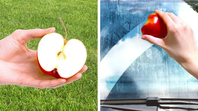 Wash Your Windshield with an Apple + 50 Cool Tips – video