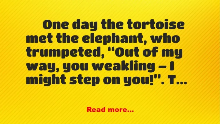 Joke: Story: The Tortoise, The Elephant and The Hippopotamus