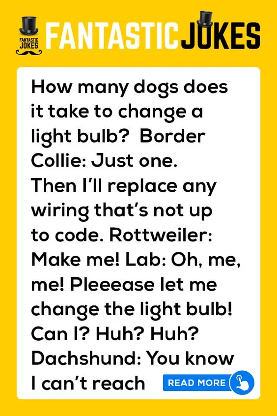 Joke: How Many Dogs Does It Take To Change A Light Bulb?