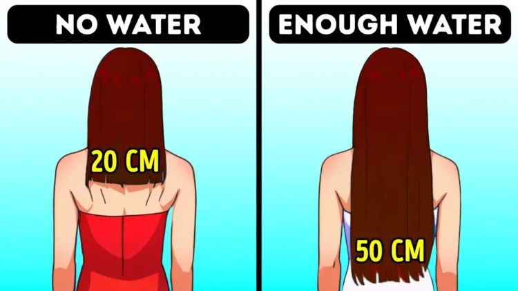 5-Second Body Facts to Wow at Water Cooler Chats – video