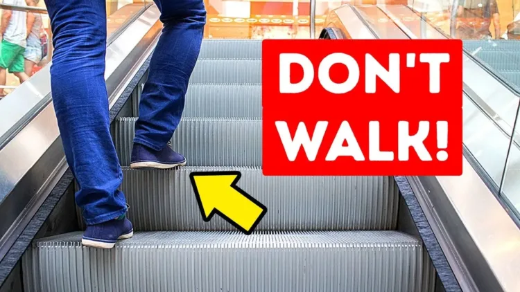 Never Use a Stopped Escalator As a Stairway, Here’s Why – video