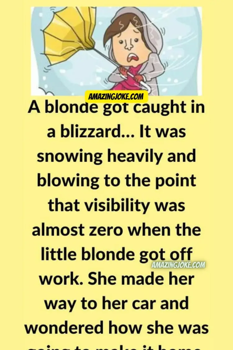 Joke: A Blonde Got Caught In A Blizzard