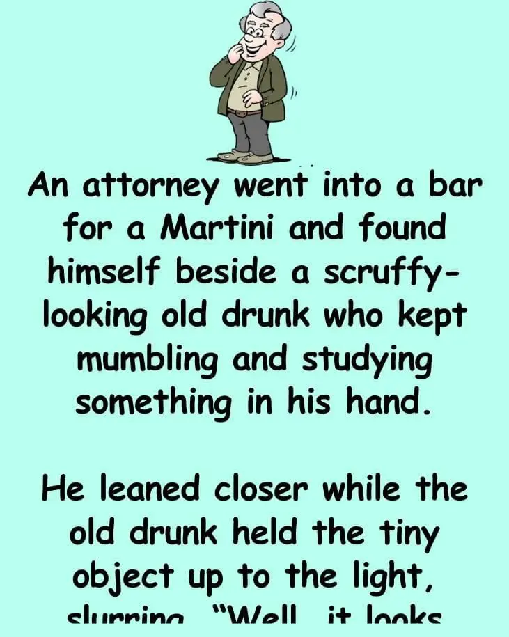 Joke: An Attorney Went Into A Bar For Martini