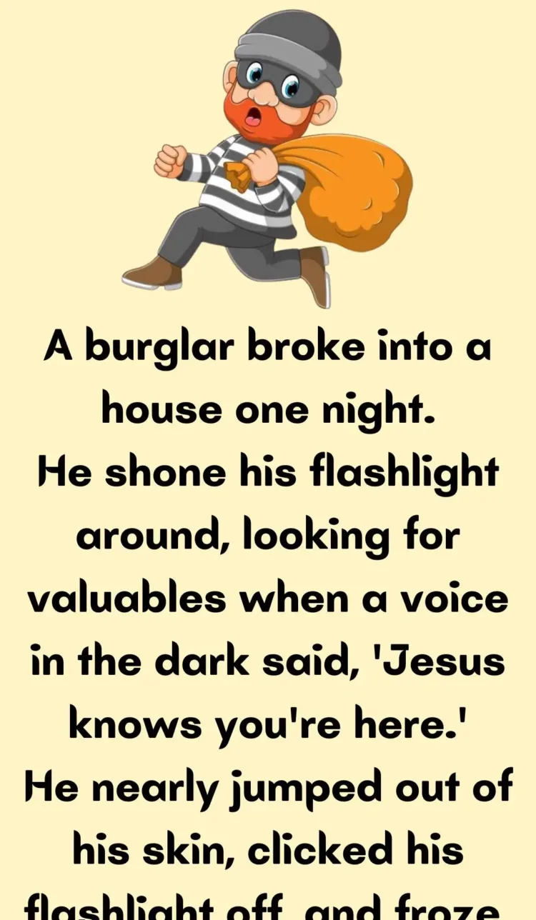 Joke: A burglar broke into a house