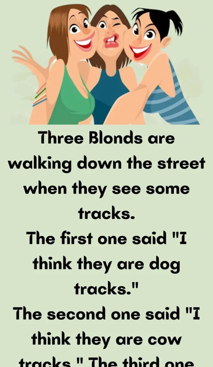 Joke: Three Blonds are walking down