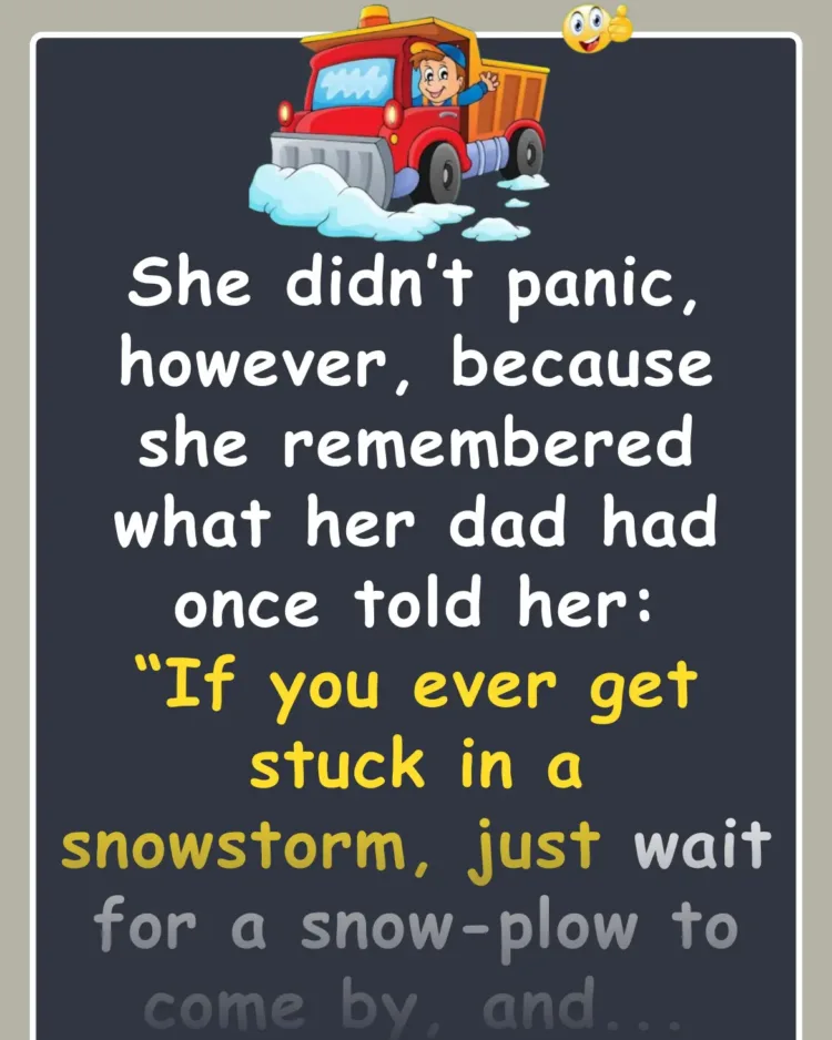 Joke: A Blonde Gets Lost In A Snowstorm, But Remembers This Neat Trick -…