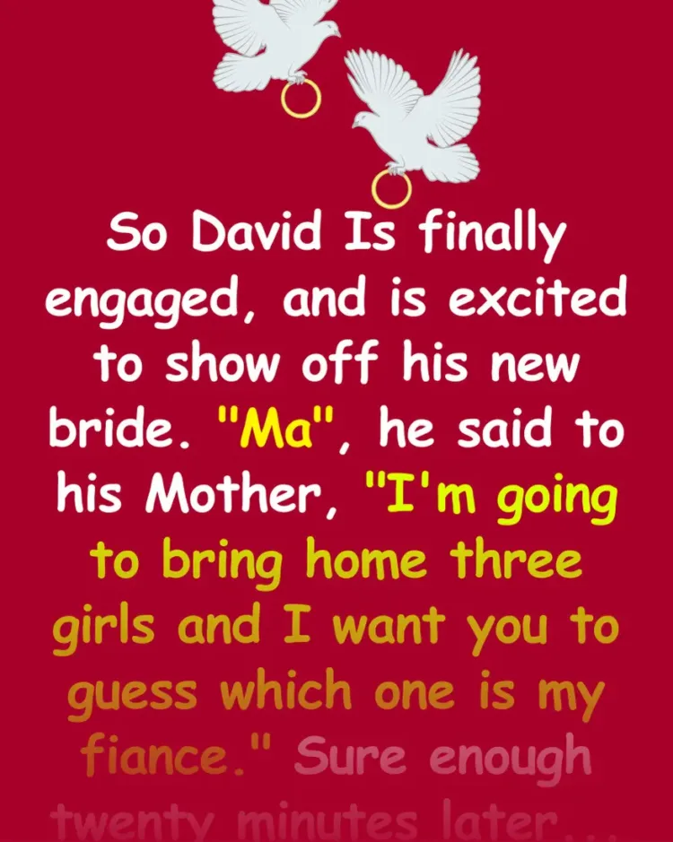 Joke: David Is finally engaged, and is excited to show off his new bride. -…