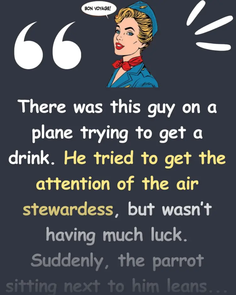 Joke: Funny Joke: There was a guy on a plane trying to get a whisky, but the…