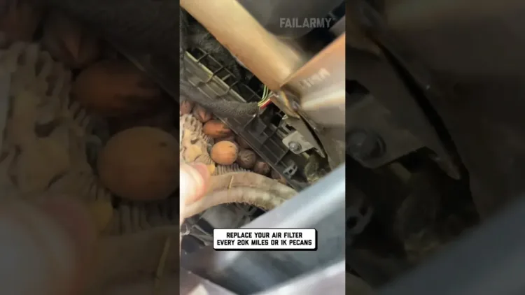 Truck Engine Stuffed With Pecans – video