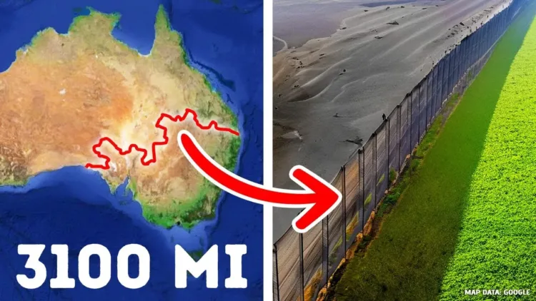 Why Australia Built a Fence Across the Entire Continent – video