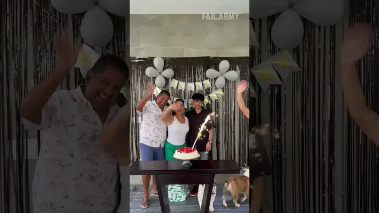 that bulldog got cake 😂 – video