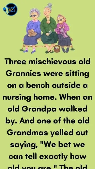 Joke: Three mischievous old Grannies