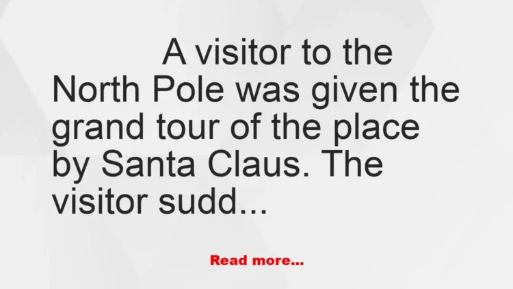 Joke: Visitor to the North Pole