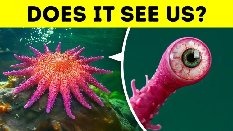 100 Animal Facts I Found in the Dark Corners of the Internet – video