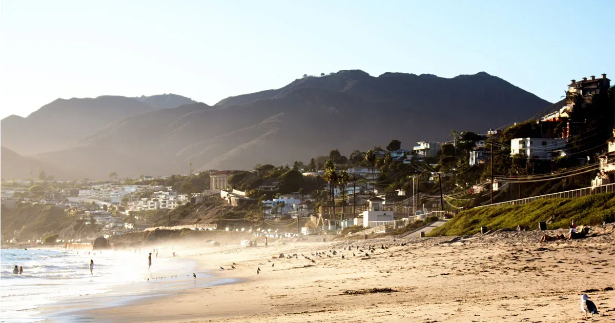 Nightmarish Sea Creature Surfaces in Southern California