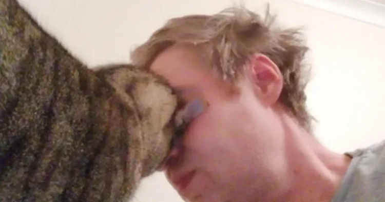 Unraveling the Tender Truth Behind Your Cat’s Headbutt