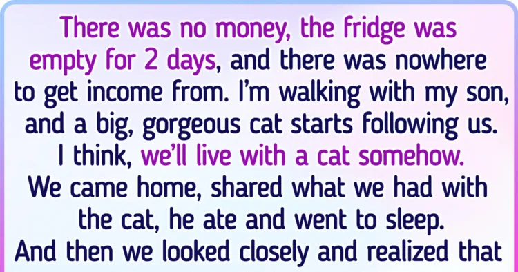 20+ Tales of Unexpected Pet Adoptions that Prove Fate Has a Sense of Humour