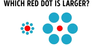 Best Optical Illusions to Test Your Mind and Eyes – video