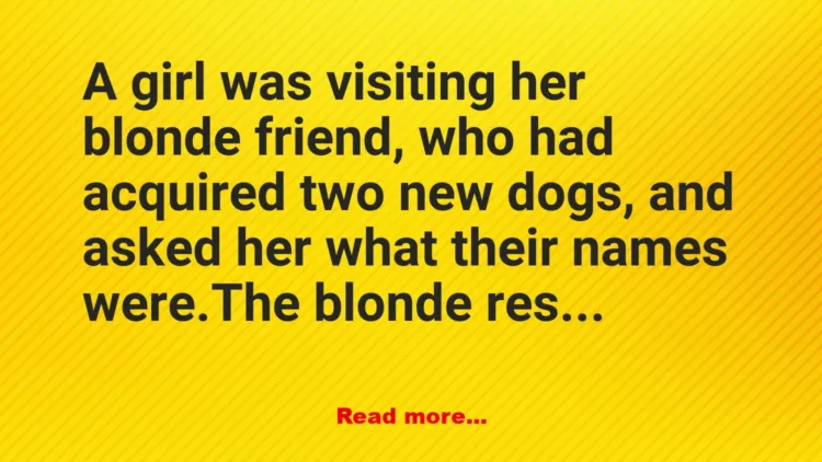 Joke: Joke: Joke: THE BLONDE JOKE TO END ALL BLONDE JOKES –