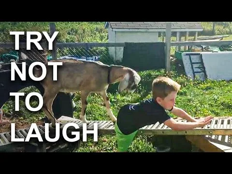 The best failures of the week Try not to laugh – video