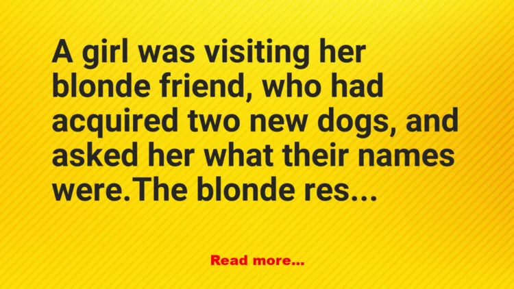 Joke: THE BLONDE JOKE TO END ALL BLONDE JOKES –