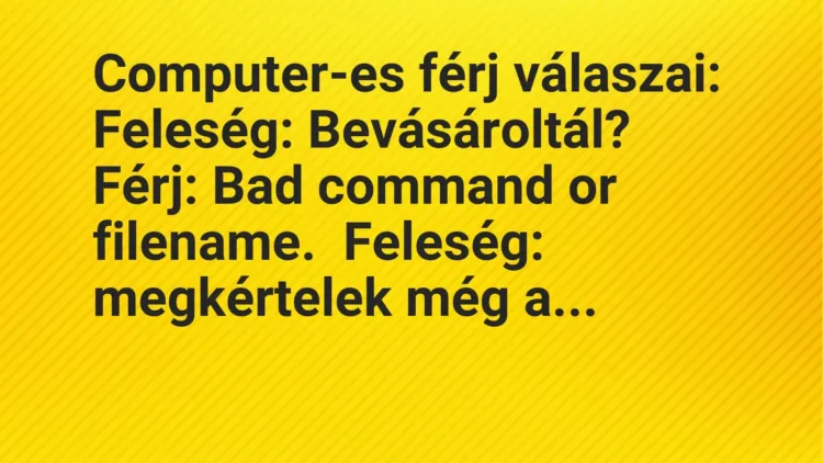 Joke: Husband with computer answers: Wife: Did you go shopping? Husband: Bad…