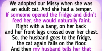 17 Unique Tales of Pets Perfecting the Skill of Mind Trickery