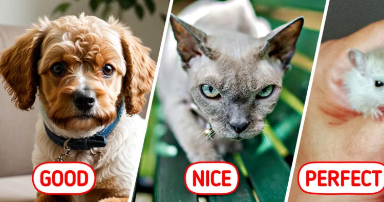 16 Ideal Pets for Allergy Patients: Say Goodbye to Sneezes