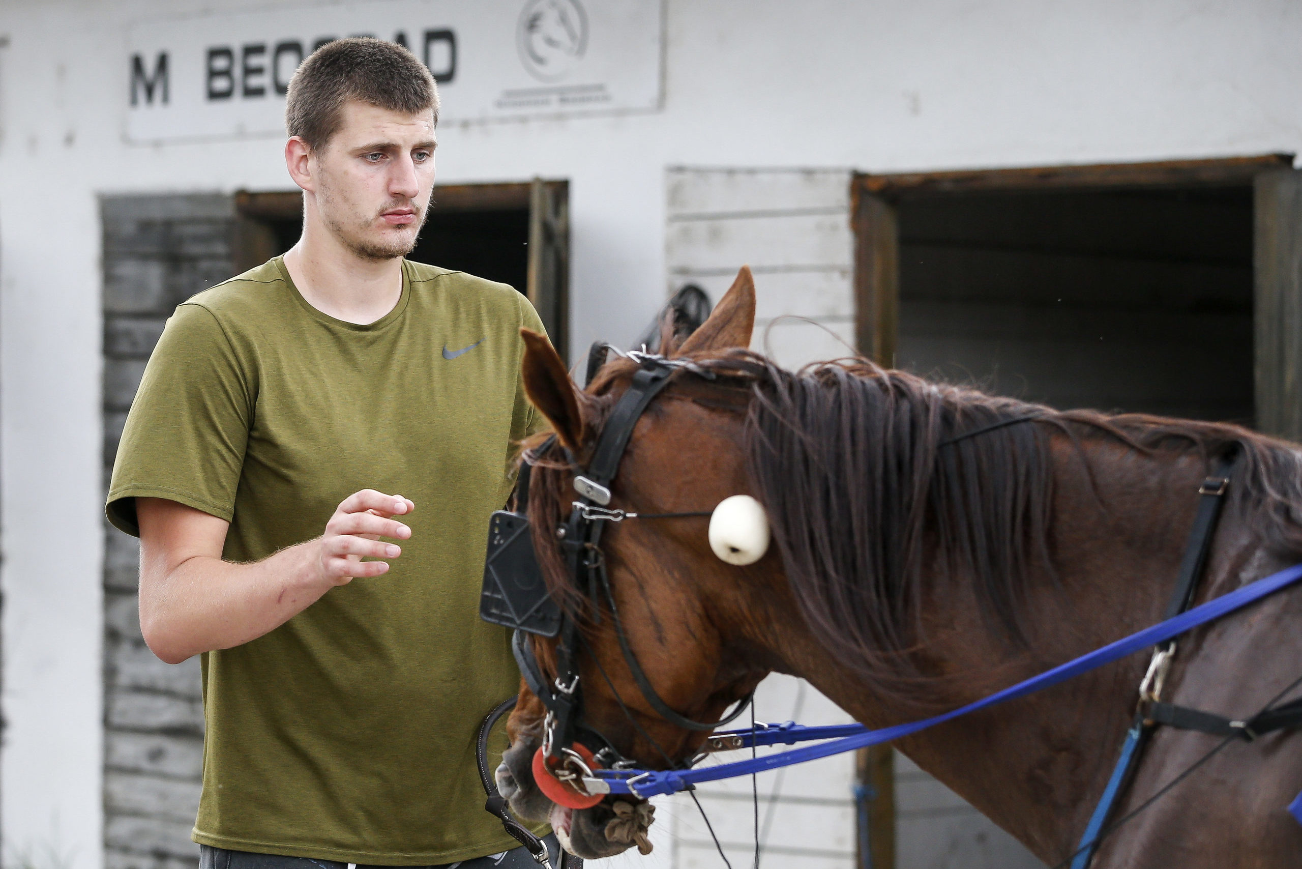 Magnificent creatures': How Nikola Jokic found peace in his love for horses - The Athletic