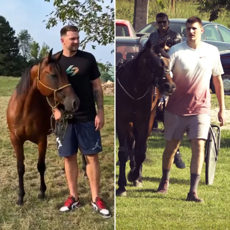 When the Court Shifts to the Racetrack: The Unique Horsepower Showdown between NBA Stars Nikola Jokic and Luka Doncic