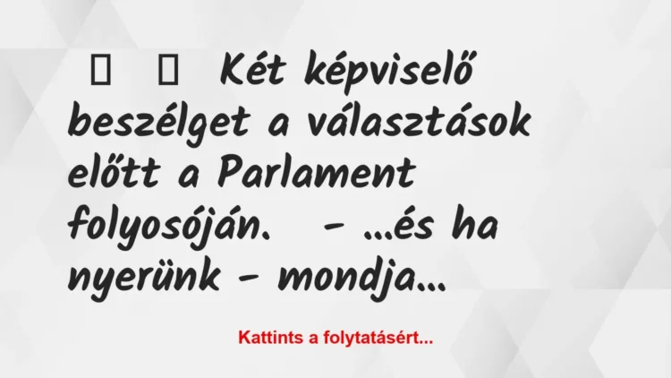 Joke: Two representatives are talking before the elections to the Parliament…