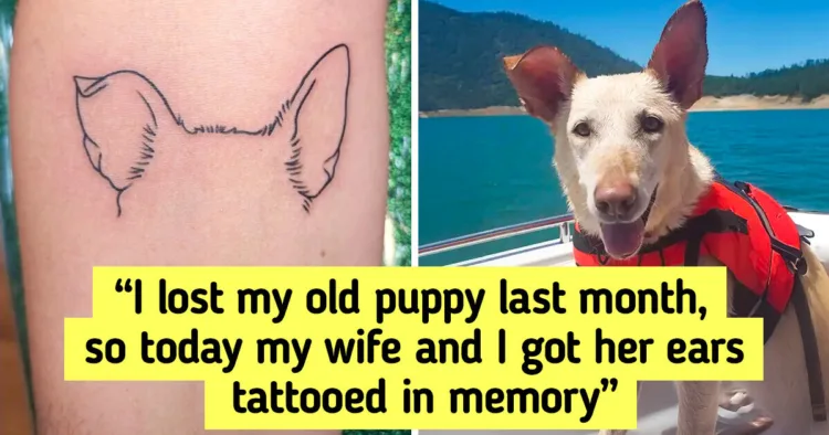 20+ Pet Tributes That Show How Deep Our Bond With Them Truly Is