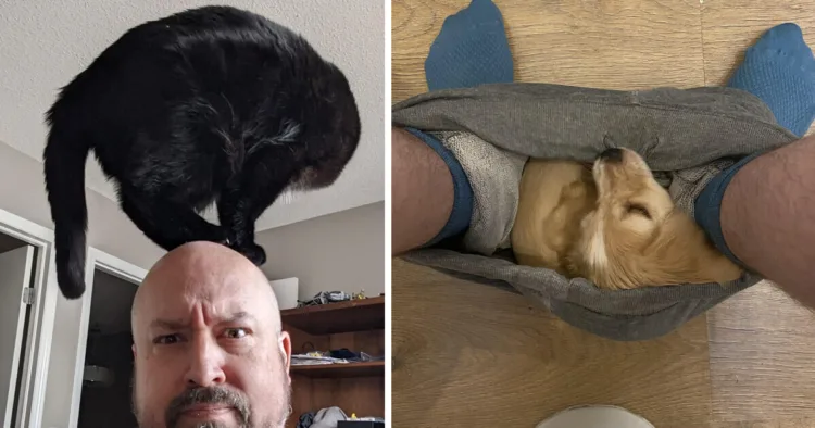 The Art of Boundaries: 14 Furry Friends Who Still Have a Lot to Learn