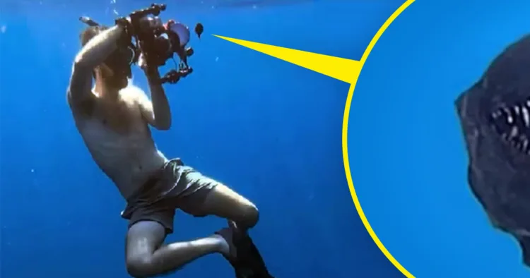 Scientific Community Stunned as Rare Deep-Sea Creature Surfaces Unexpectedly